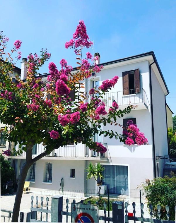 Civico21 Otel Padova Dış mekan fotoğraf